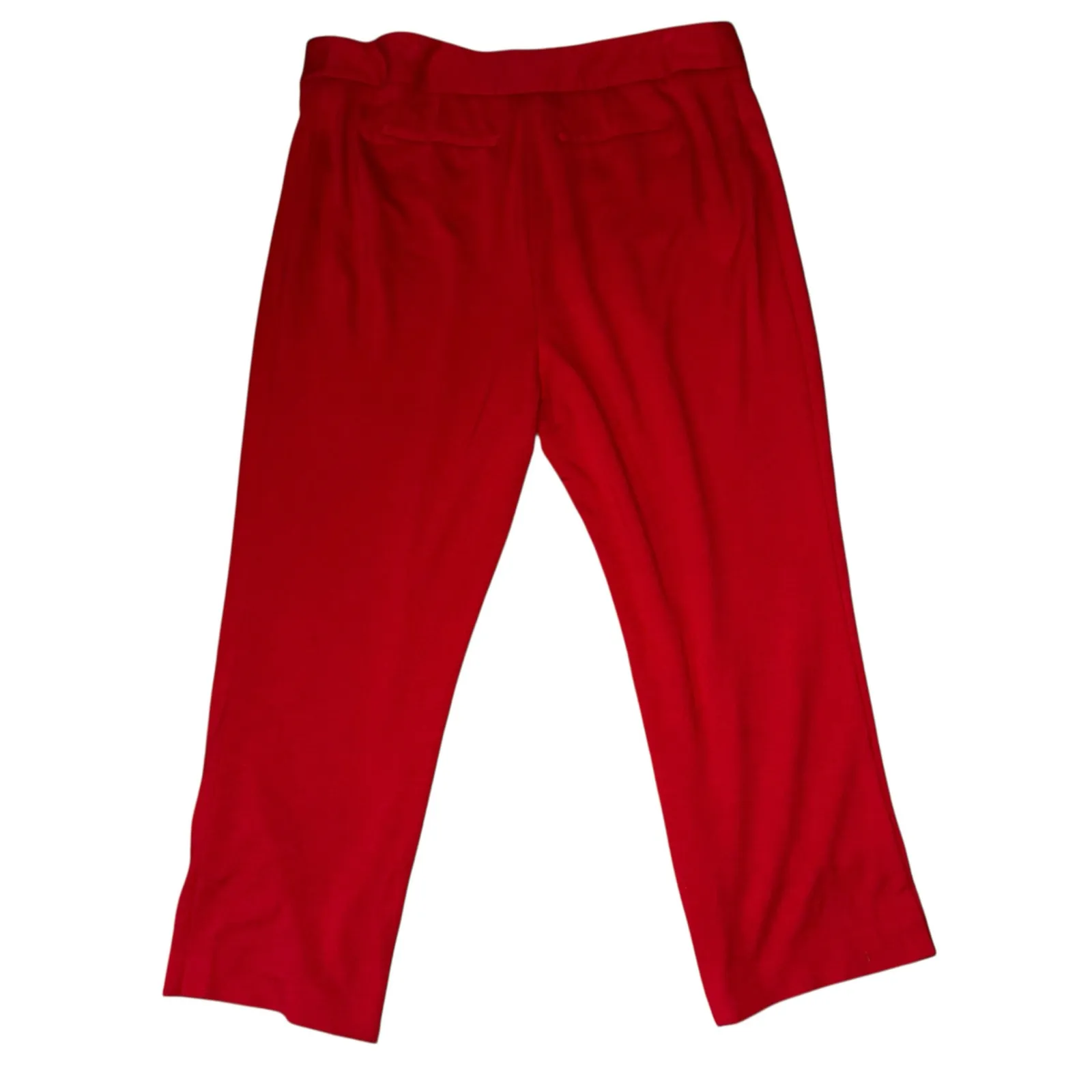 Vince Camuto Women’s Red Casual Preppy Ankle Pants – Plus Size 22W - Image 2