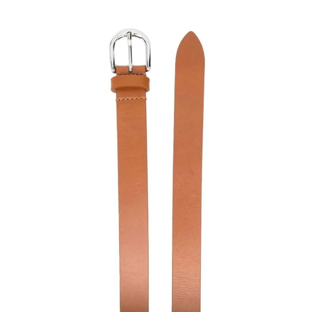 ISABEL MARANT brown silver buckled leather belt NEW - Image 3