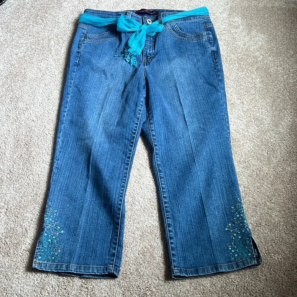 Gloria Vanderbilt Embroidered Capris With Light Blue sash   Size 10 - Image 2