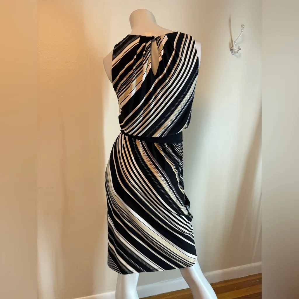 White House Black Market Sleeveless Diagonal Stripe Sheath Dress Size 2 - Image 7