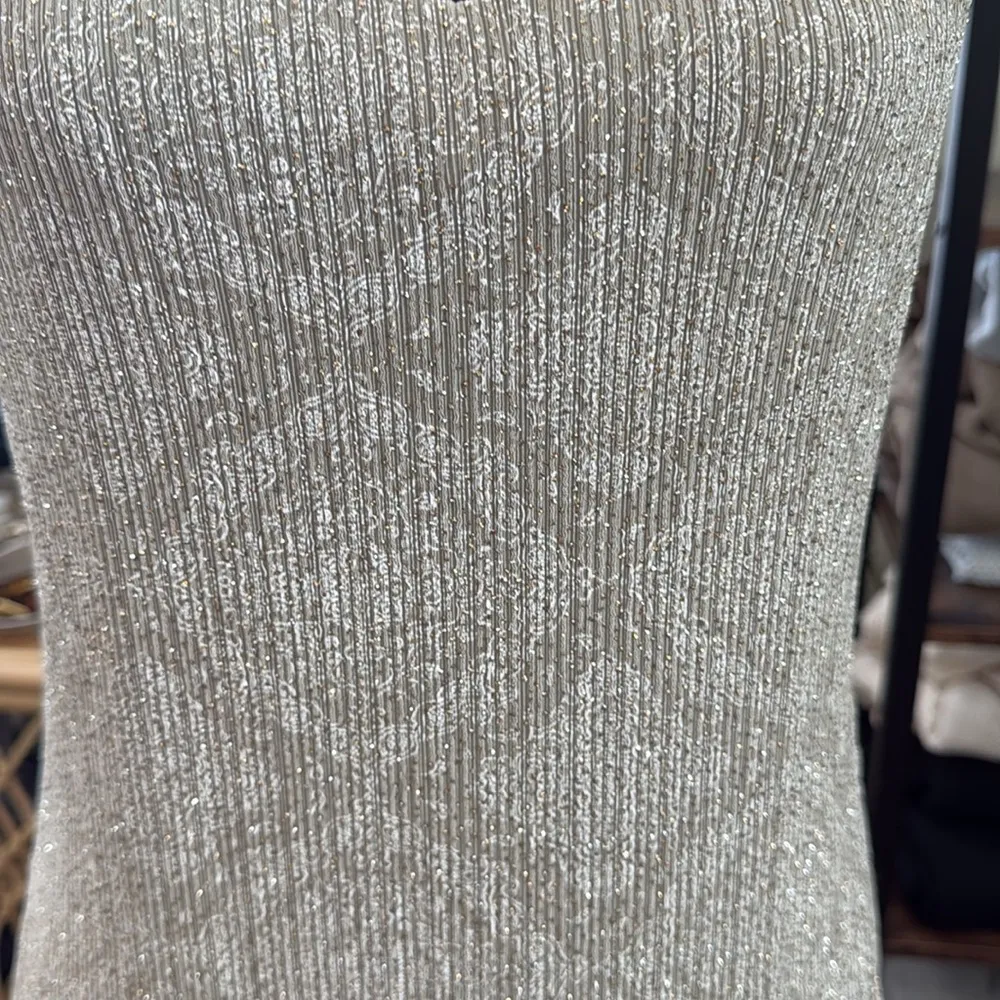 Vintage 80s/90s Alex Evenings Beige Paisley Glitter Drop Waist Evening Dress - Image 3