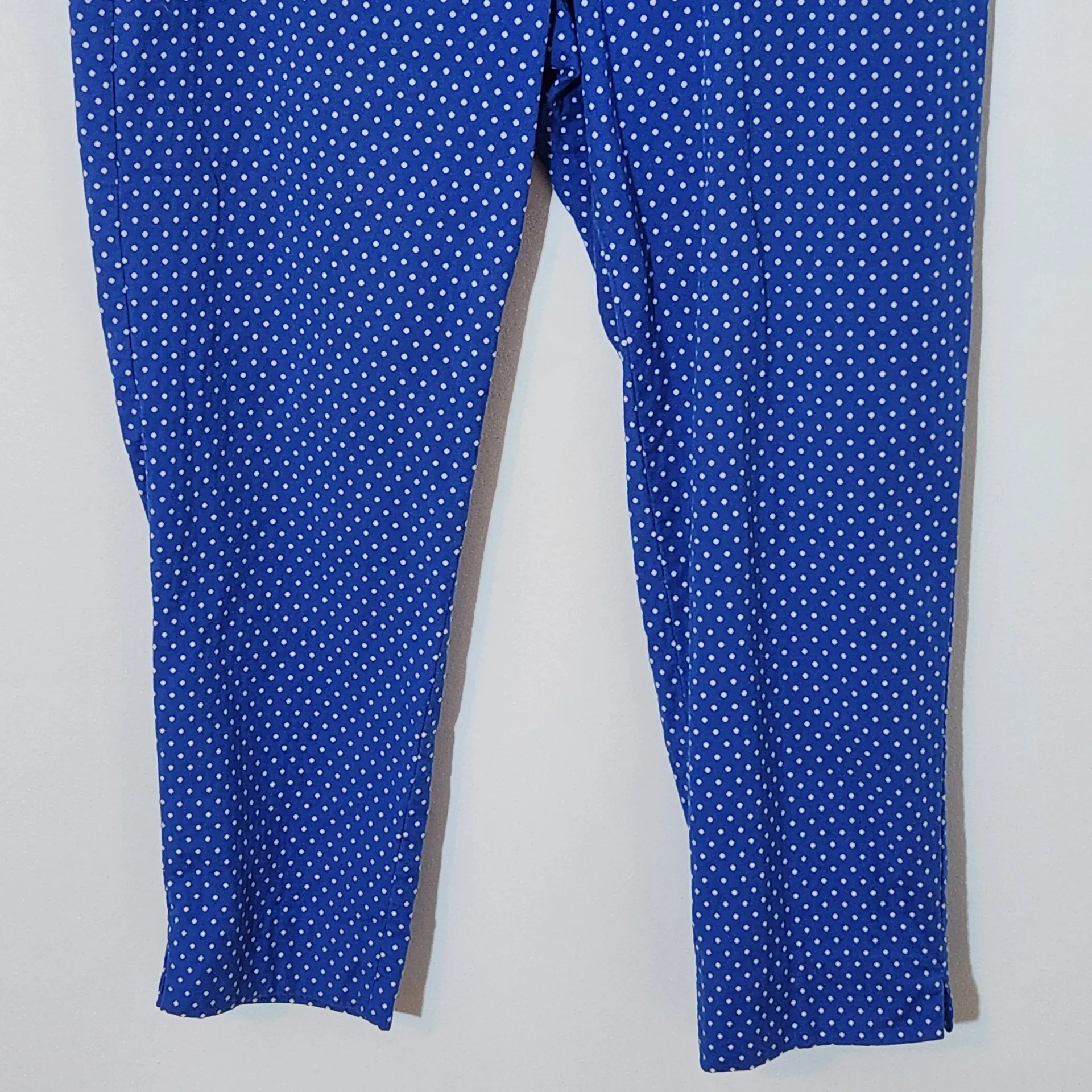 Talbots Blue and White Polka Dot Ankle Pants Size 16 Preppy Polka Dot Pants - Image 3