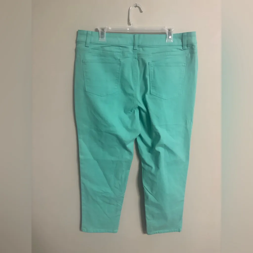 TALBOTS Simply Flattering Slim Ankle Jeans Size 16P Petite Cool Mint Green - Image 2
