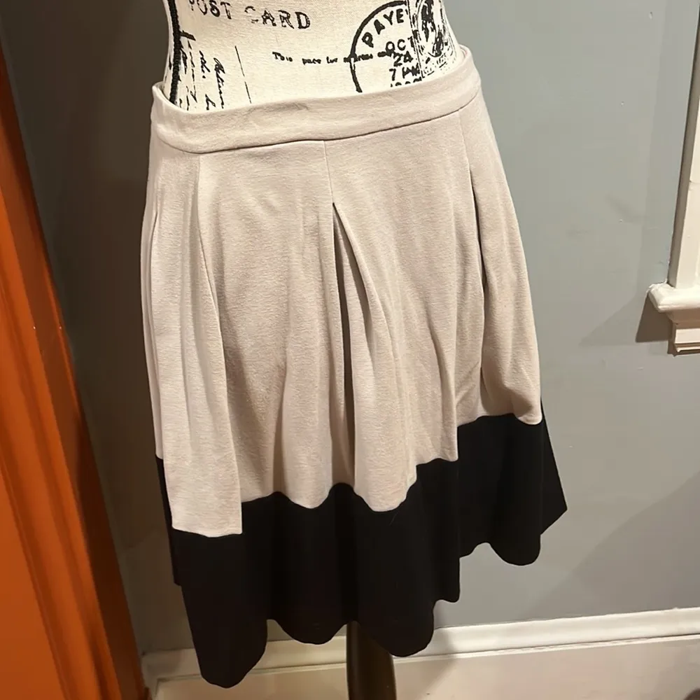 Express Darted Pleat Two-Tone Skirt (8) - Image 2
