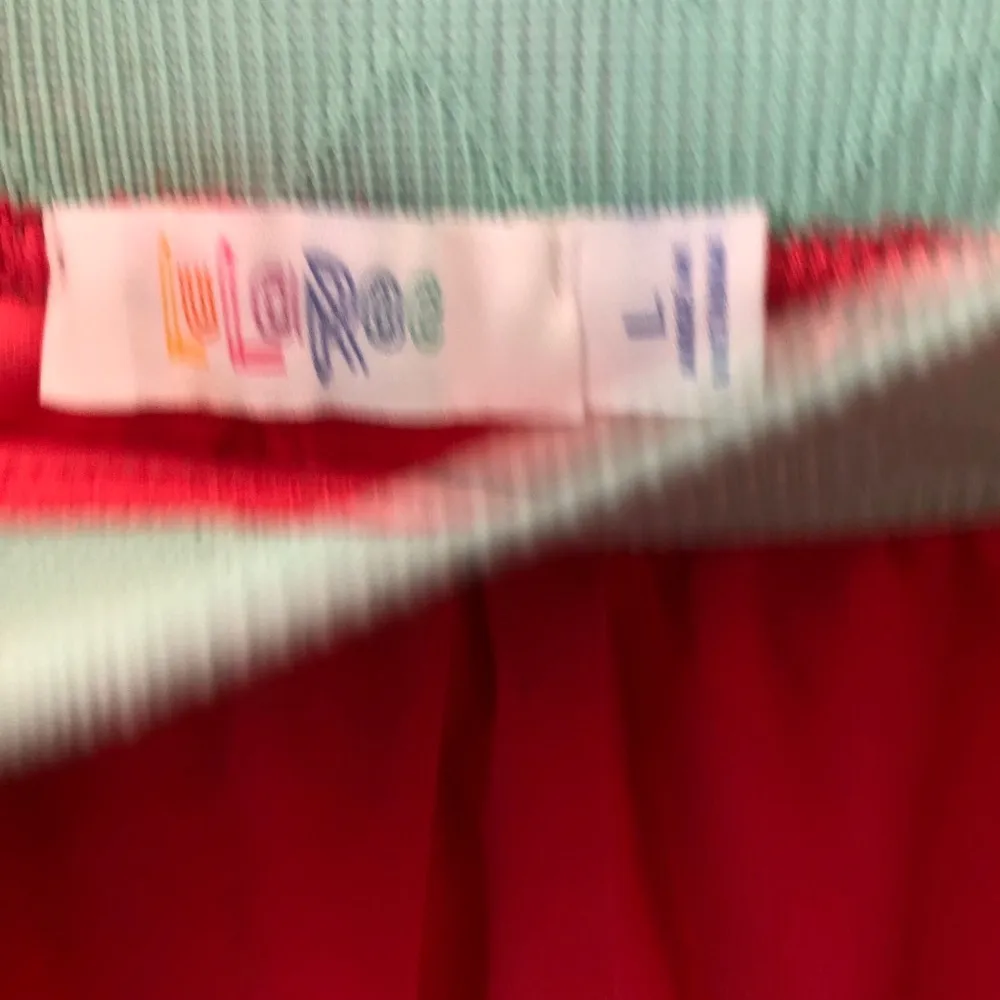 LuLaRoe Skirt Coral Chiffon w/ Mint Maxi Skirt “The Lucy” Sz L NWT Elastic Waist - Image 9