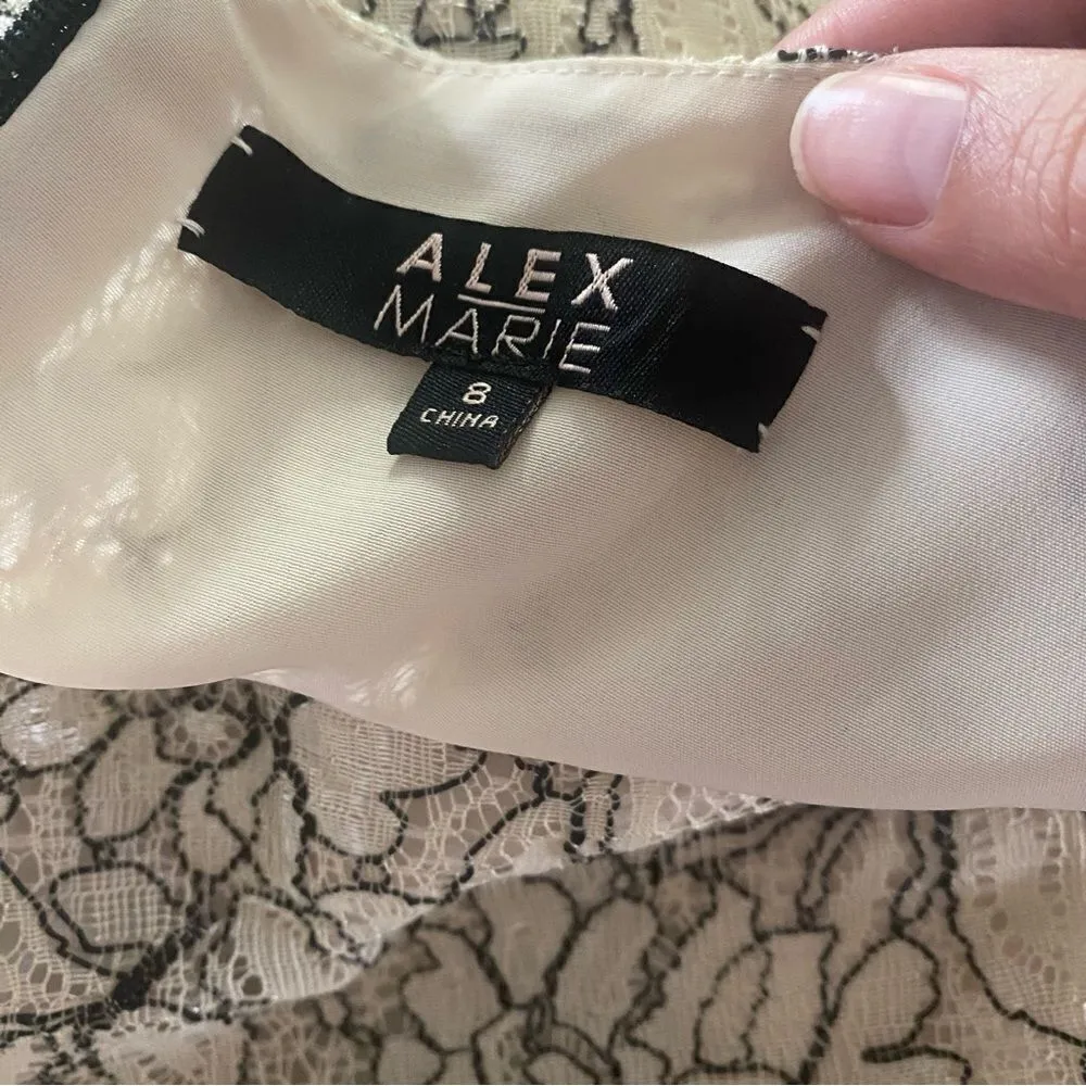 NEW Alex Marie Black and Ivory Lace Knee Length Sheath Peplum Dress Size 6 - Image 6