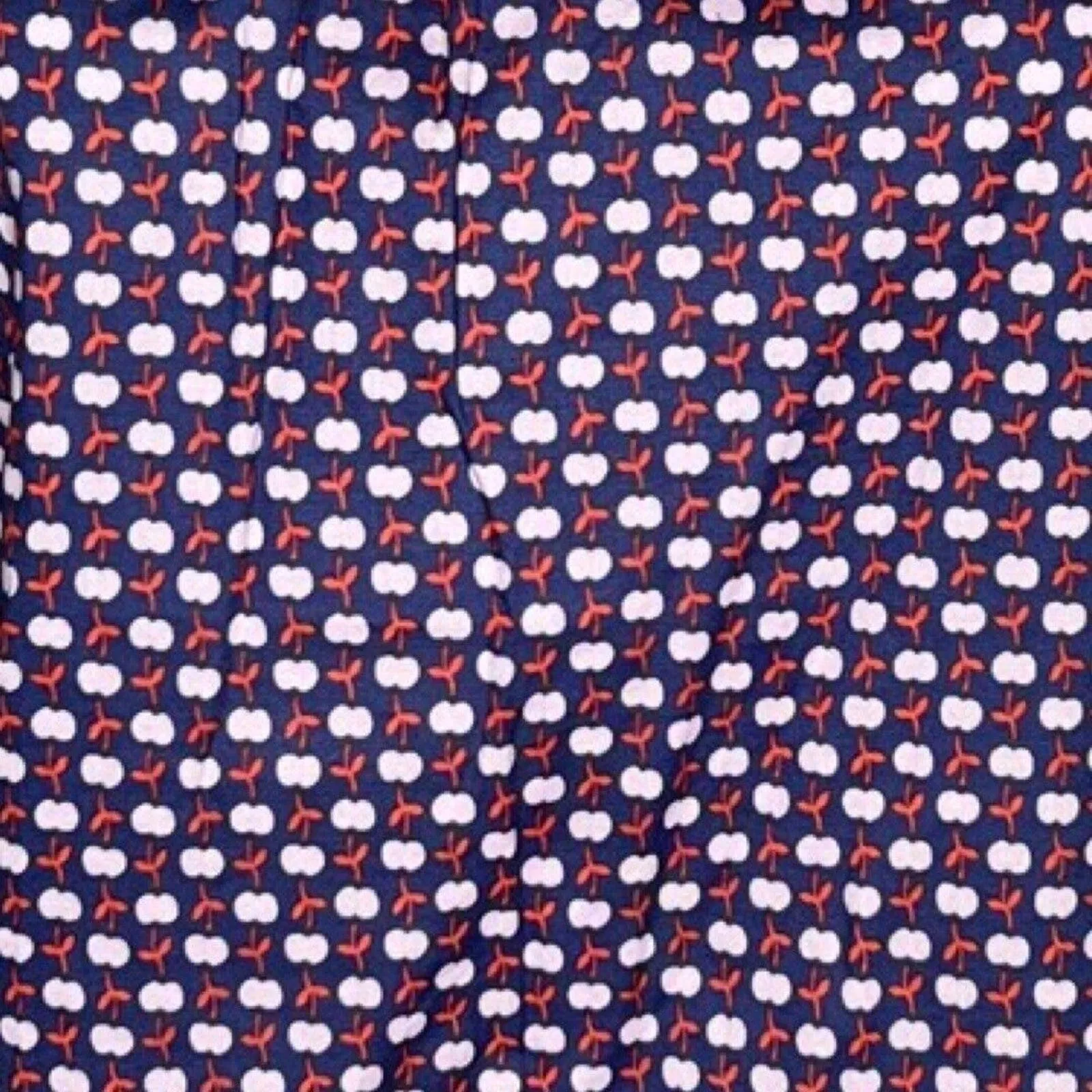 Boden Shirt Women‎ 8 Blue White Yvonne Button Back Apple Print Preppy Novelty - Image 6