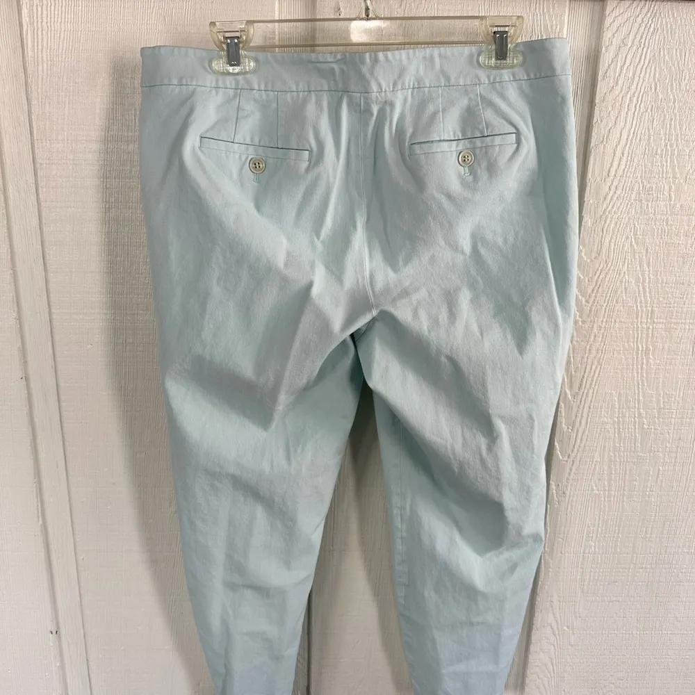 Talbots Chatham Curvy Blue Pants - Image 4