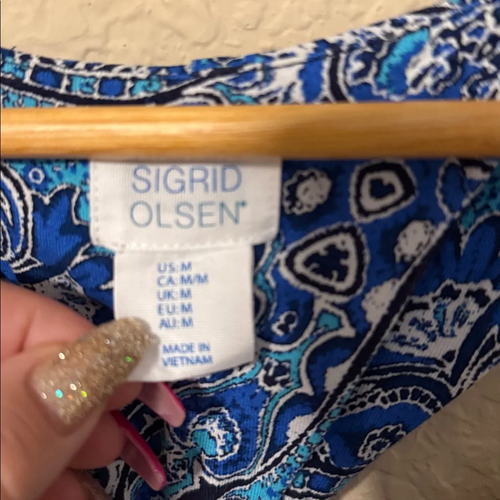 Blue Paisley Sleeveless Dress - Image 2