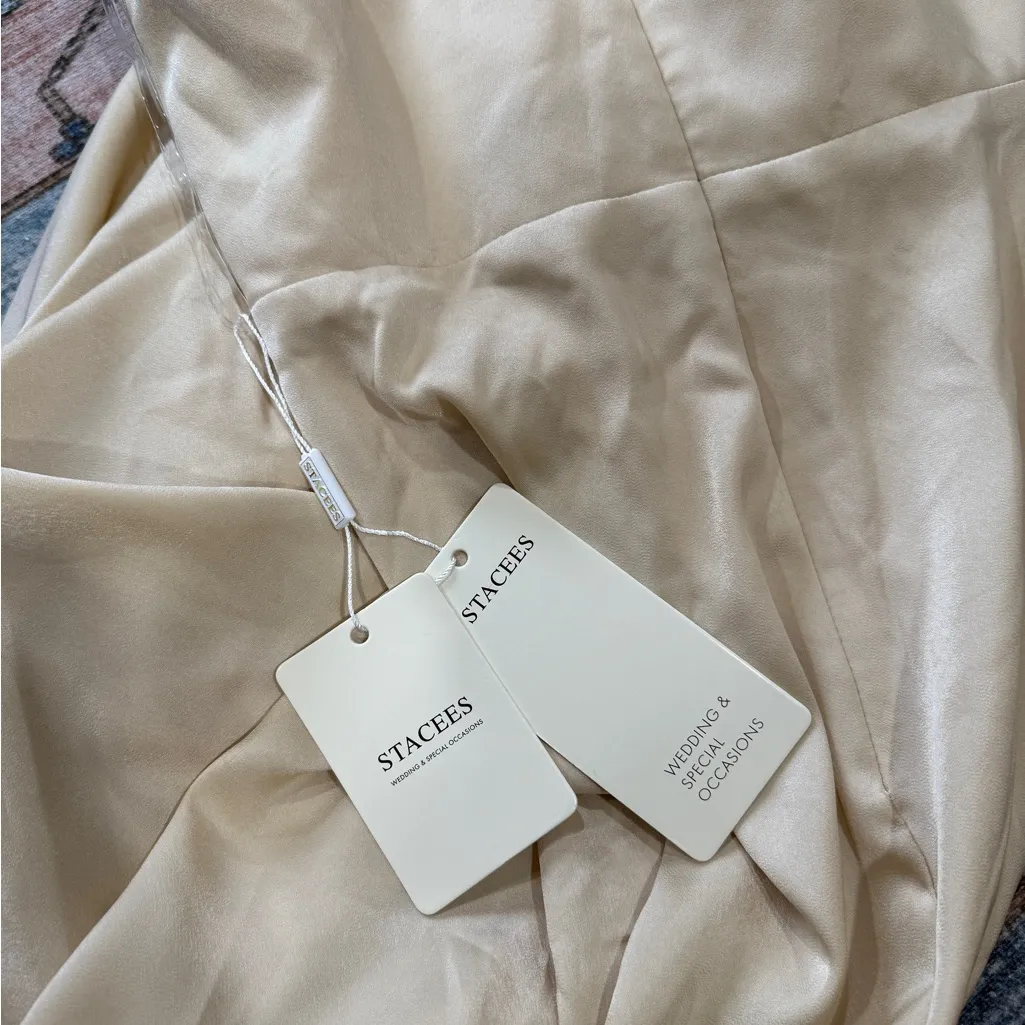 STACEES Sheath/Column V Neck Sleeveless Floor - Image 9