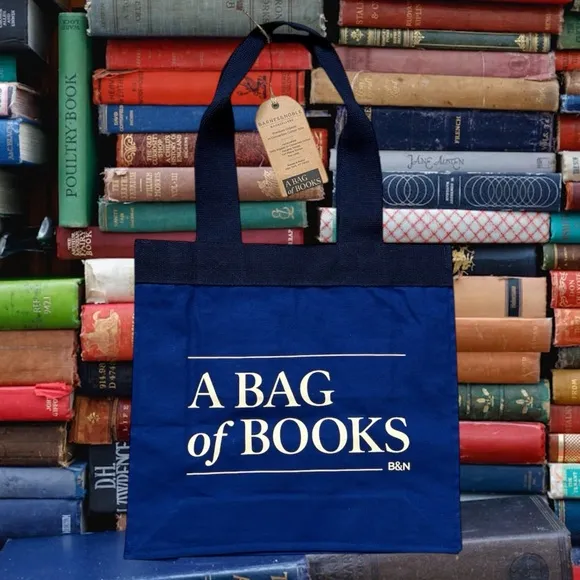 B&N Bookstore Barnes & Noble Bag of Books Tote Bag Canvas Blue New - Image 2