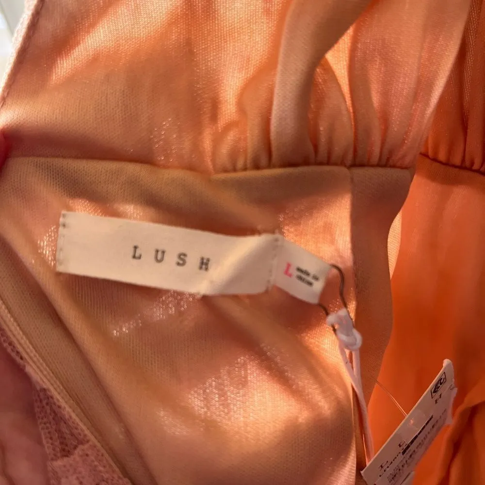 Lush NWT mini dress in blush pink shabby chic sheer size large women’s - Image 4