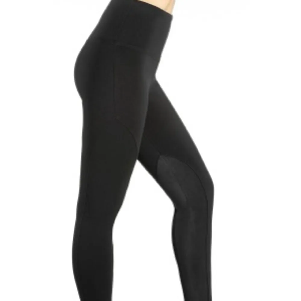Lysse  Tummy Control Black Pull On Equestrian Suede Insert Leggings - Image 3