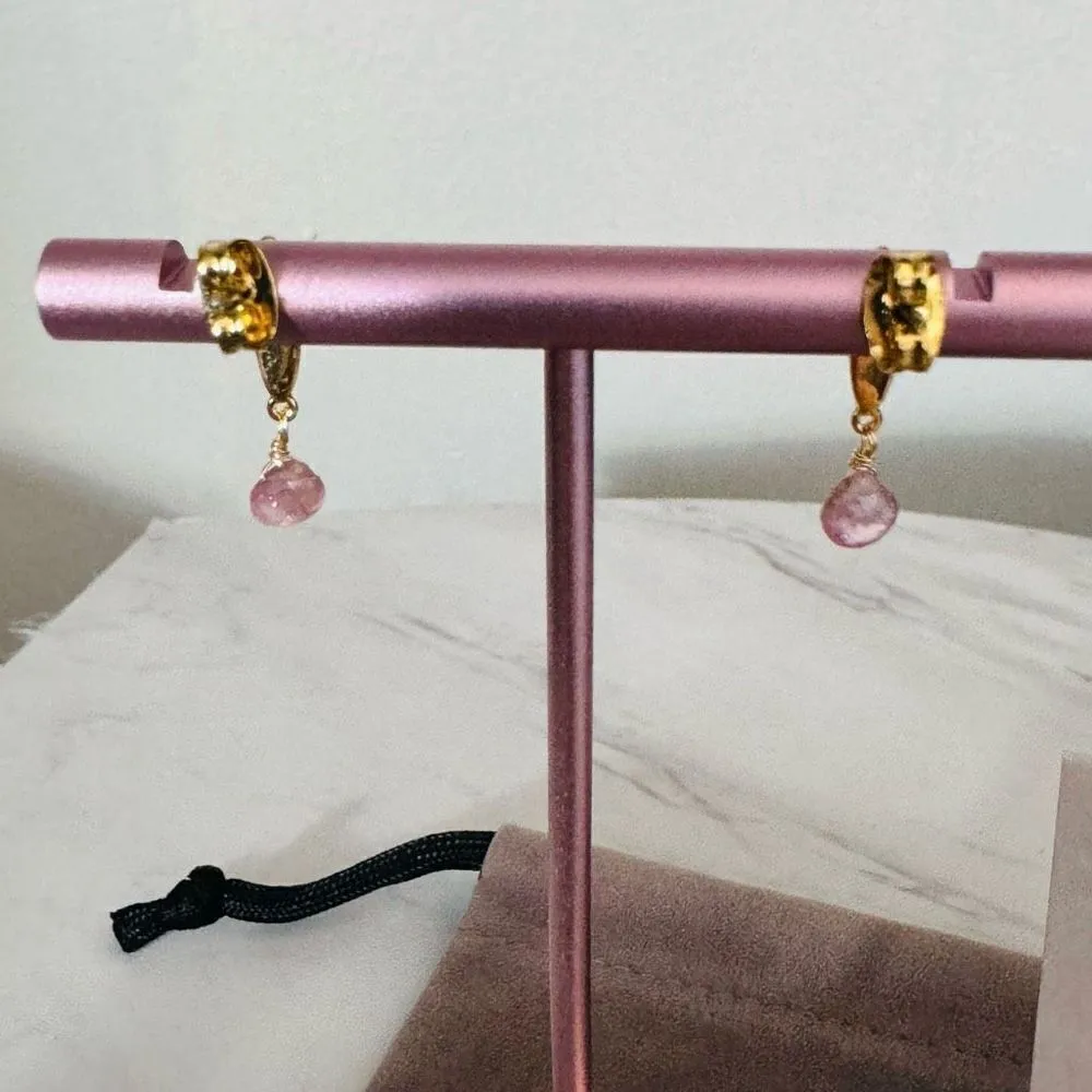 Alexas Bittar Asterales Thorn 14K Goldplated & Pink Tourmaline Drop Earrings NWT - Image 7