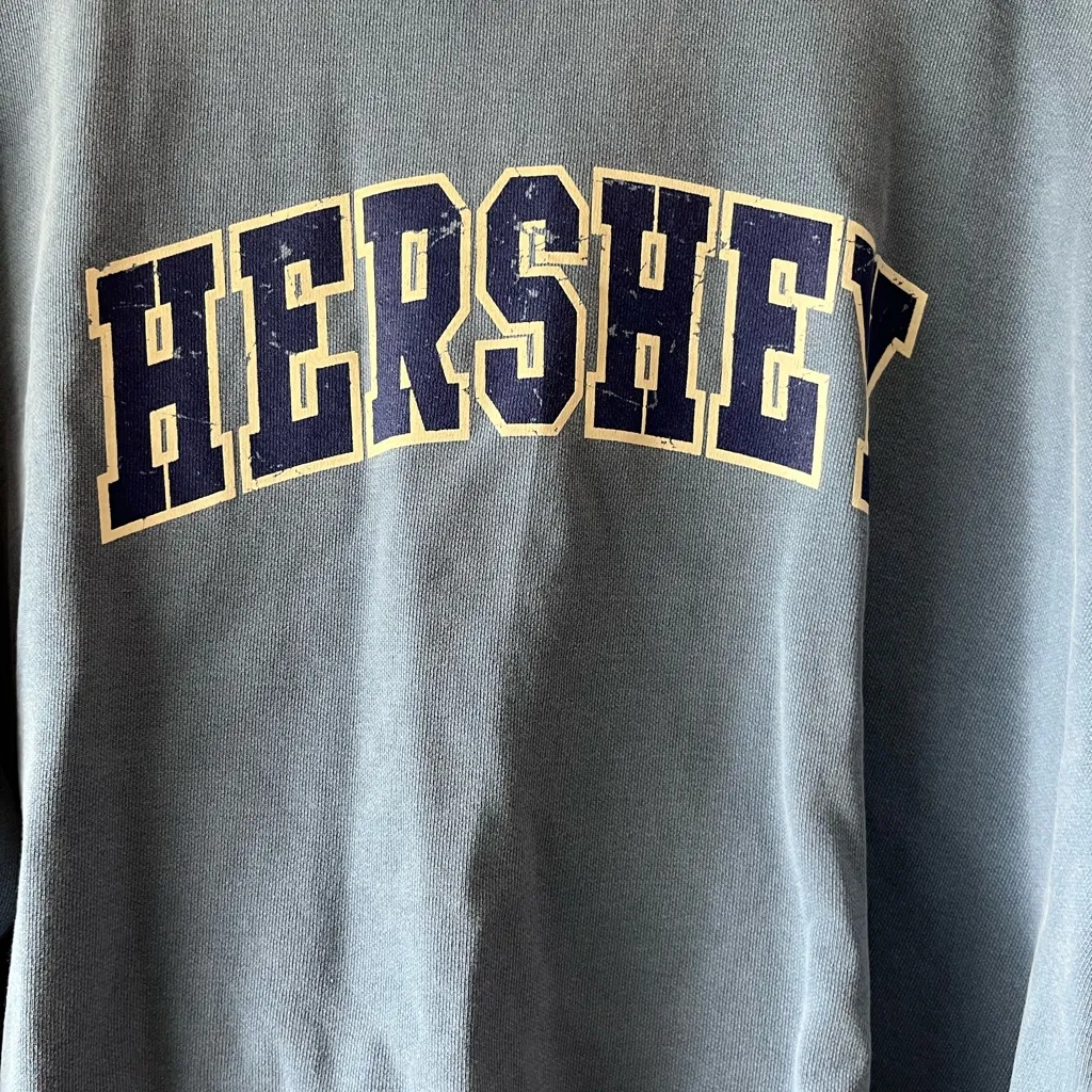 Comfort Colors Hershey Oversized Crew Neck - Image 3