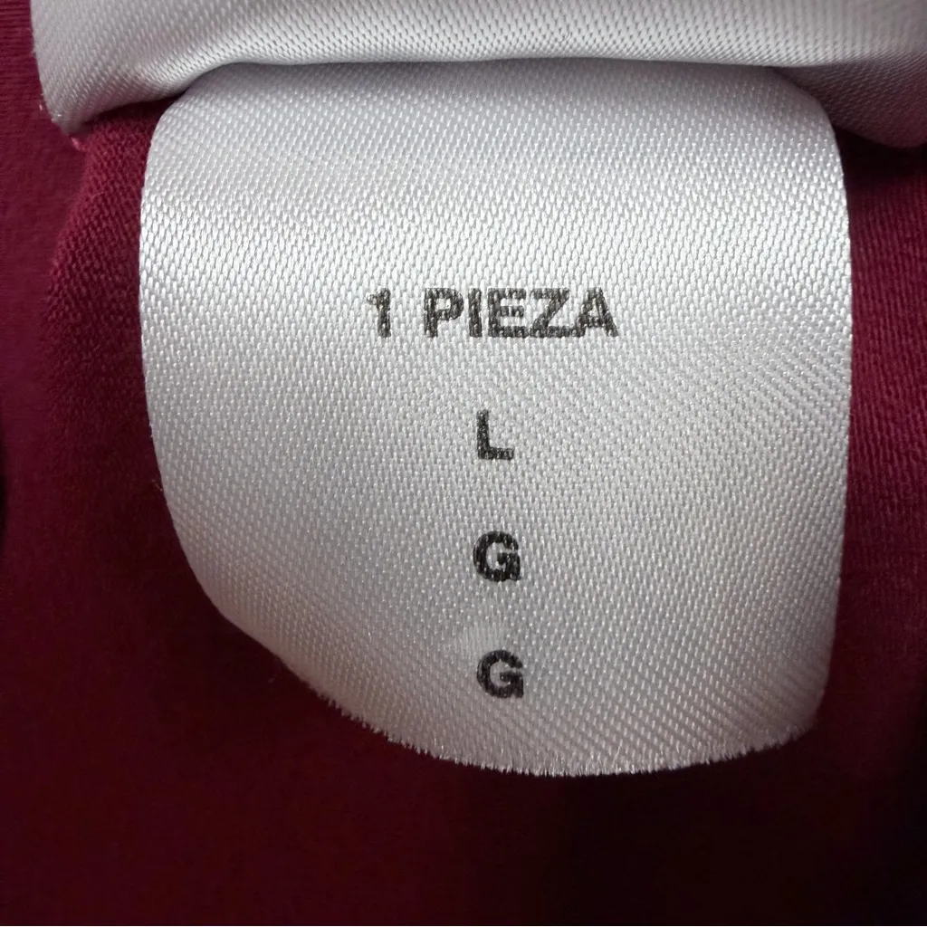 Indian Motorcycle Long - Image 14