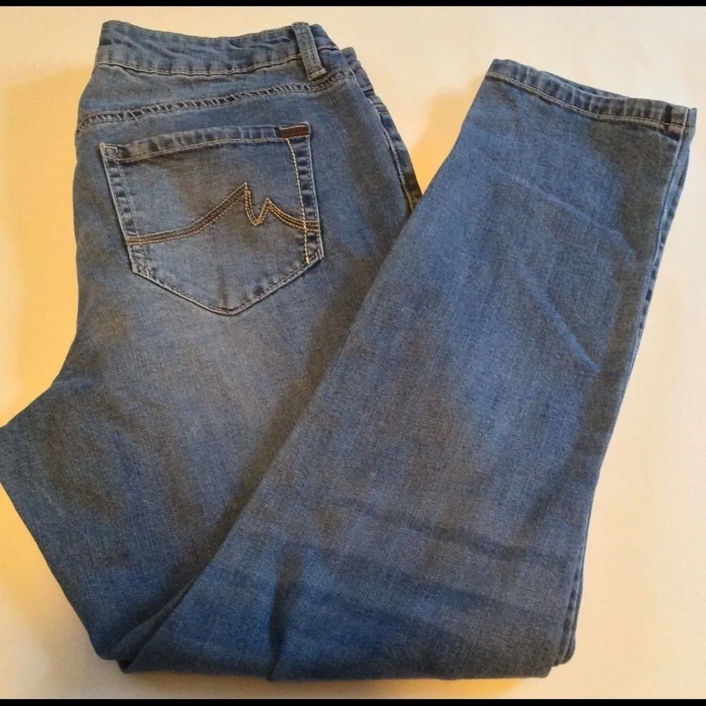 William Rast‎ 'Stella' Jeans - Image 3