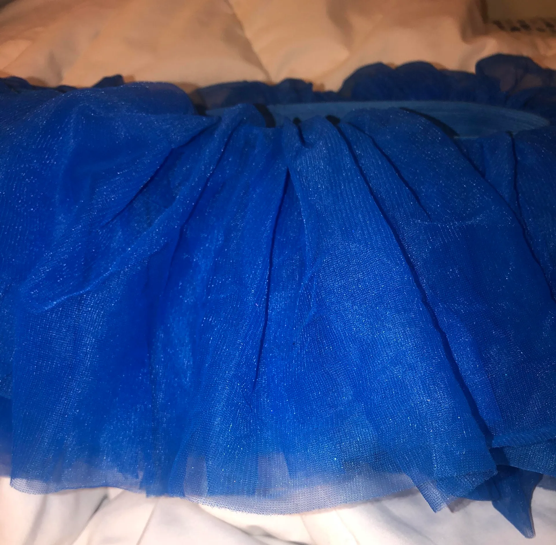 Royal Blue Tutu - Image 5