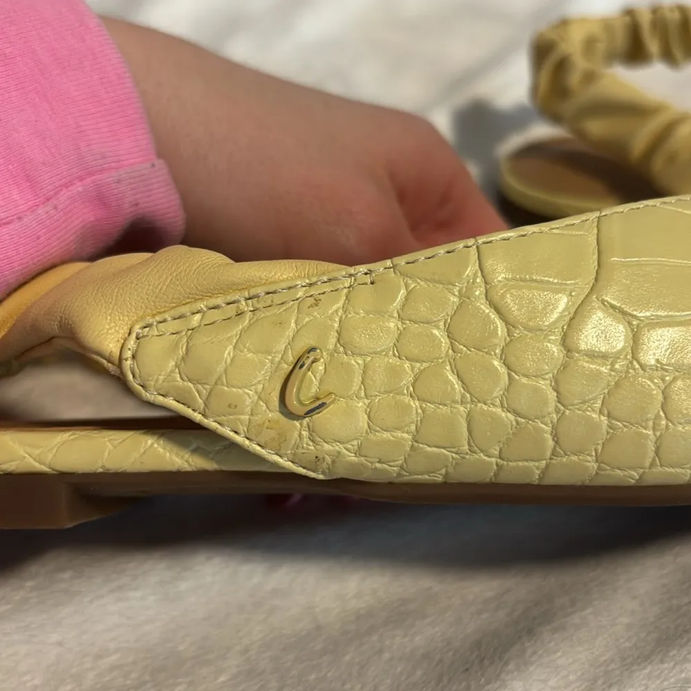 Circus by Sam Edelman Women's Omina Slingback Flat - Image 11