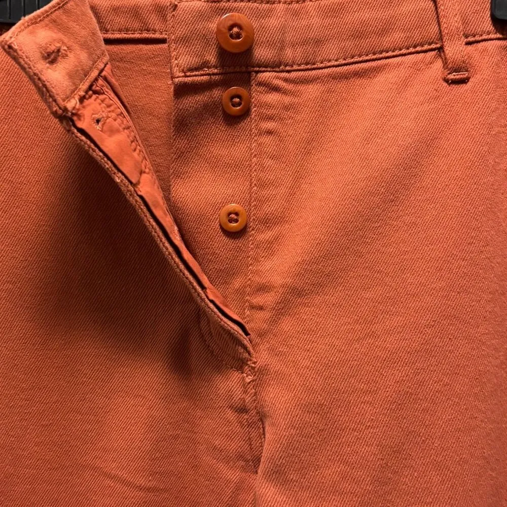 Aritzia Wilfred Free Womens Modern Rust Cargo Pants Size 12 Button Fly High-Rise - Image 8