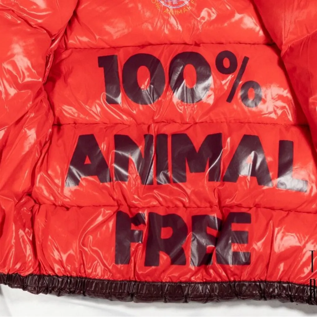 Save the Duck Short Jacket Puffer Hooded Burgundy Size L Purple Size L - Image 3