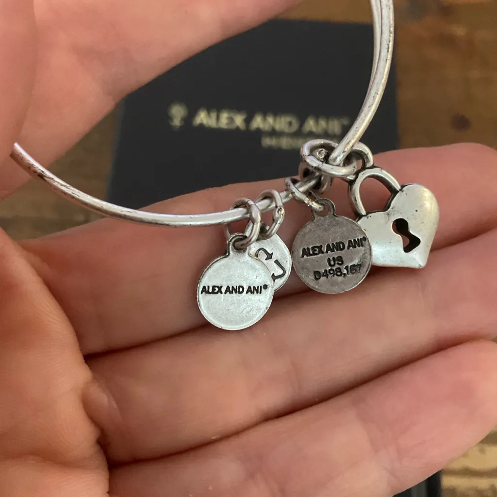 NWT ALEX AND ANI PATH OF LIFE CHARM BANGLE BRACELET RETIRED - Image 4