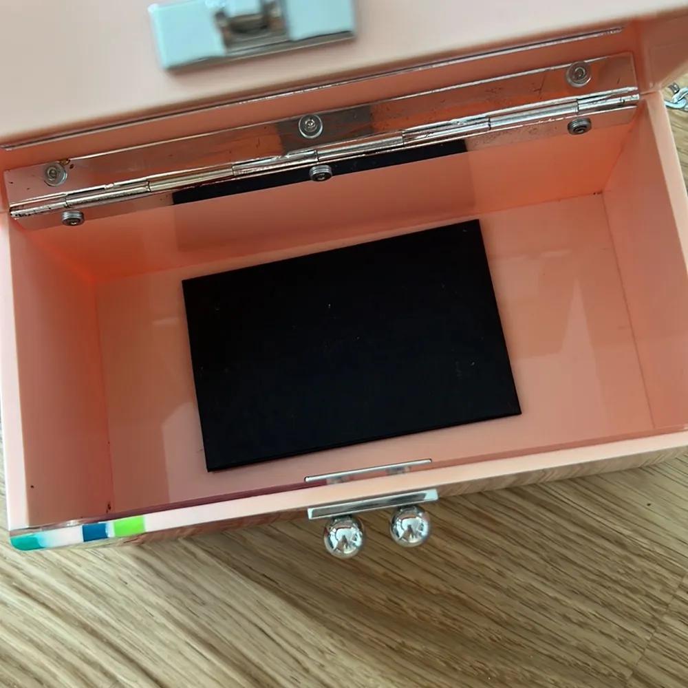 Edie parker pink strawberry acrylic trunk - Image 5