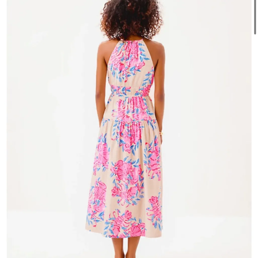 Lilly Pulitzer- Talullah Maxi dress - Image 3