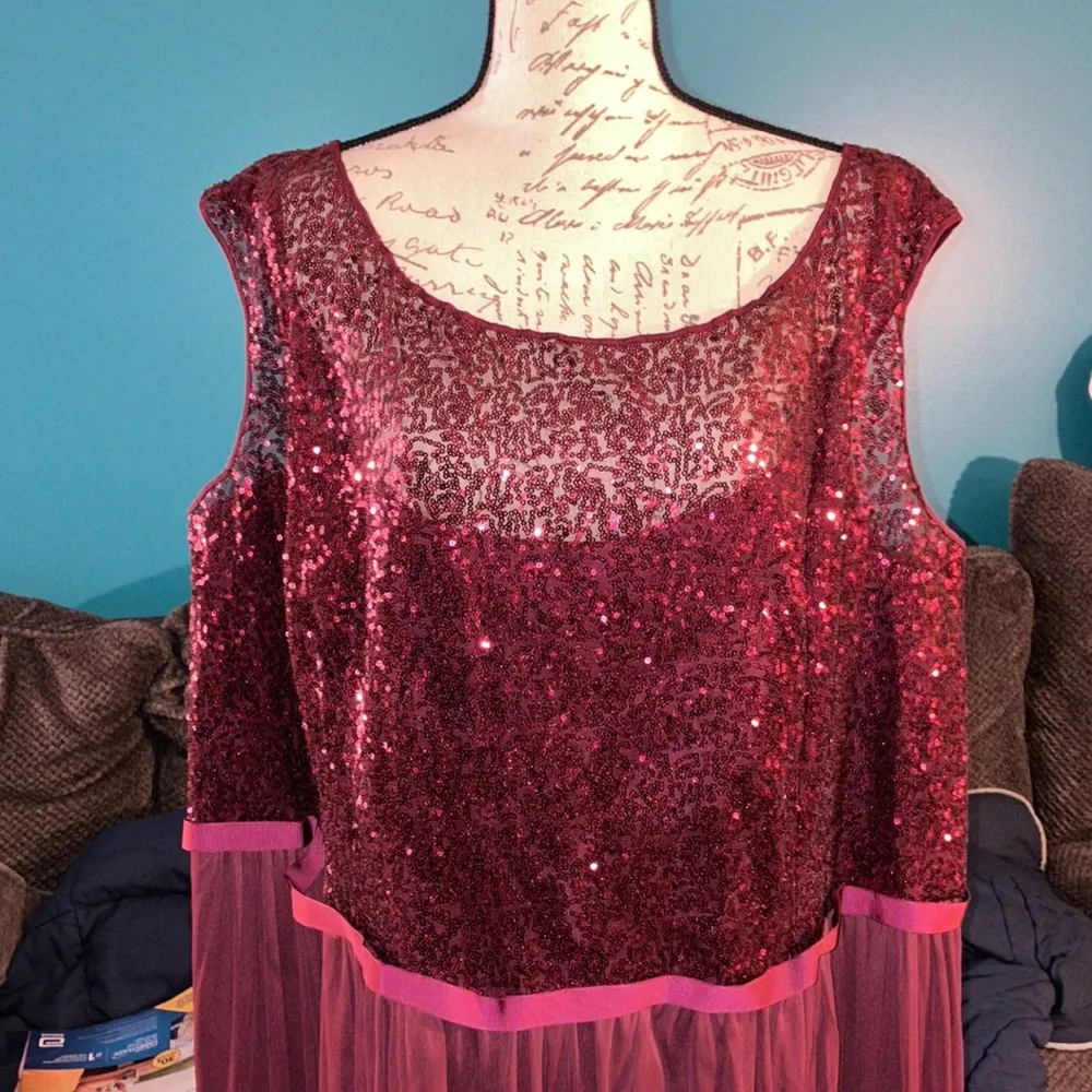 David’s Bridal Lace Dress with Long Mesh Skirt, size 30 - Image 2