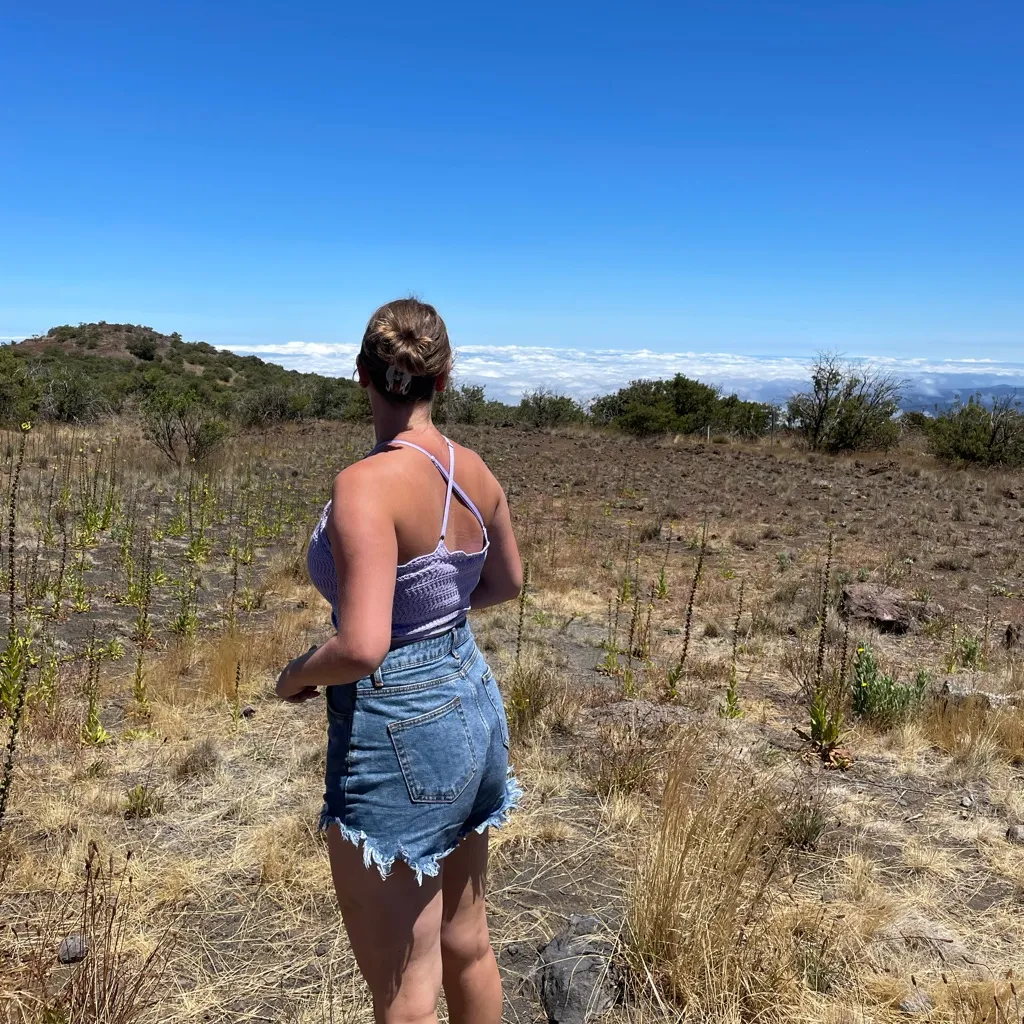 Hollister Purple Crochet Top - Image 2