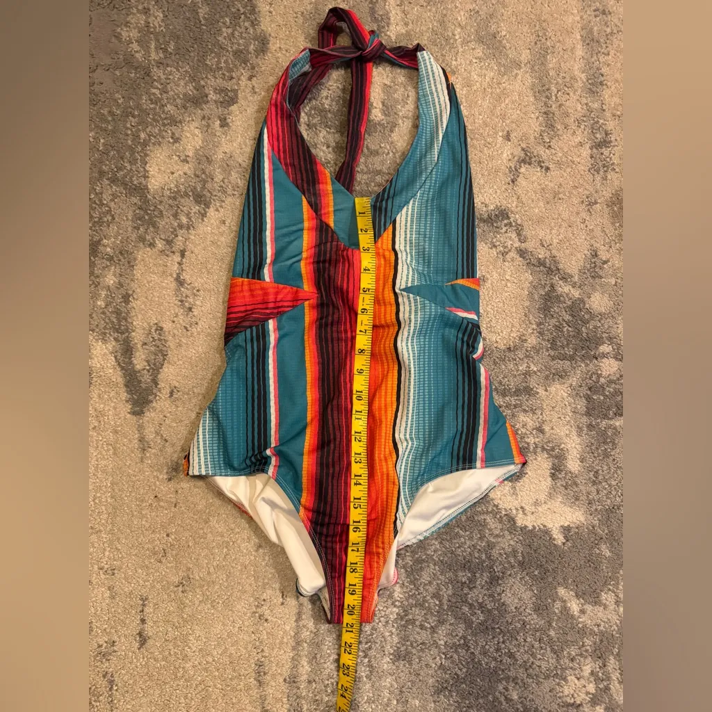 Crazy Train Multicolor Striped Swimsuit - Image 5