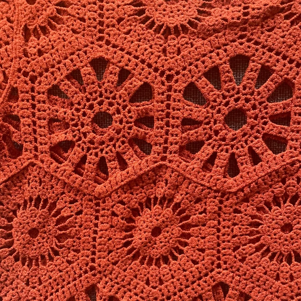 Burnt Orange Crochet Sweater Top Cropped Short Sleeve Rust Size Medium Boho - Image 3