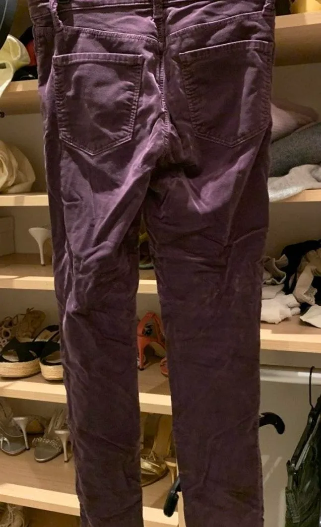 purple  low rise cords - Image 2