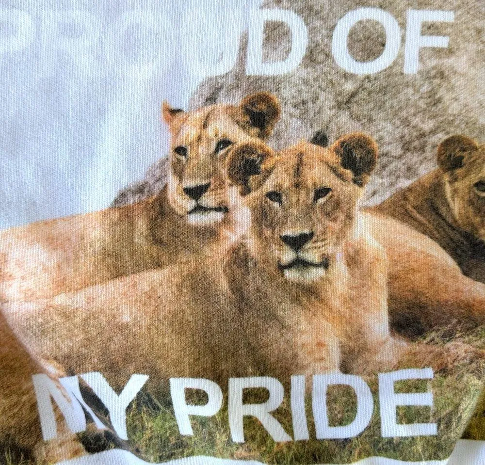 New AERIE Offline Proud Of My Pride Graphic Oversized T Shirt Top Women’s Sz S/M - Image 4