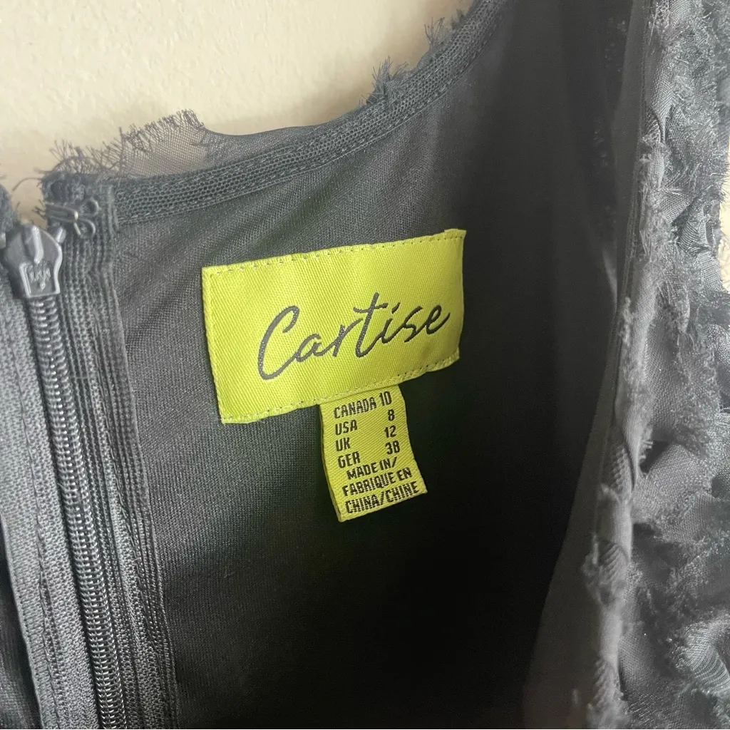 Cartise Black Floral Apllique V - Image 4