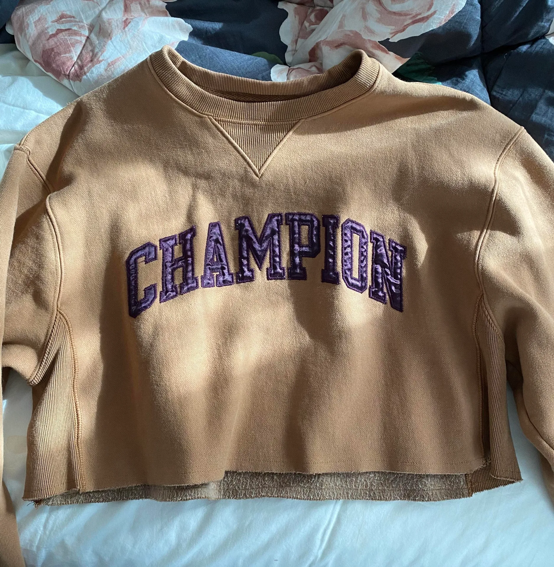 Champion Crop Hoodie - Image 2