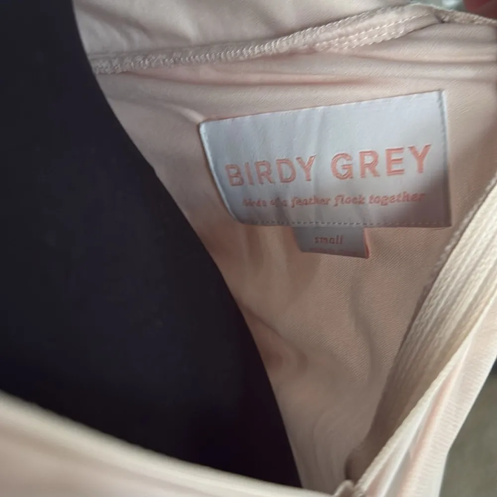 Birdy Grey Dusty Rose Pink Chiffon Full Length Mesh Cutout Elyse Dress - Image 8