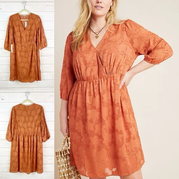 Daniel Rainn Terracotta Long Sleeve Dress - Image 2