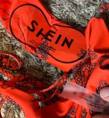 SheIn Red Dragon Print Bikini Set - Image 5