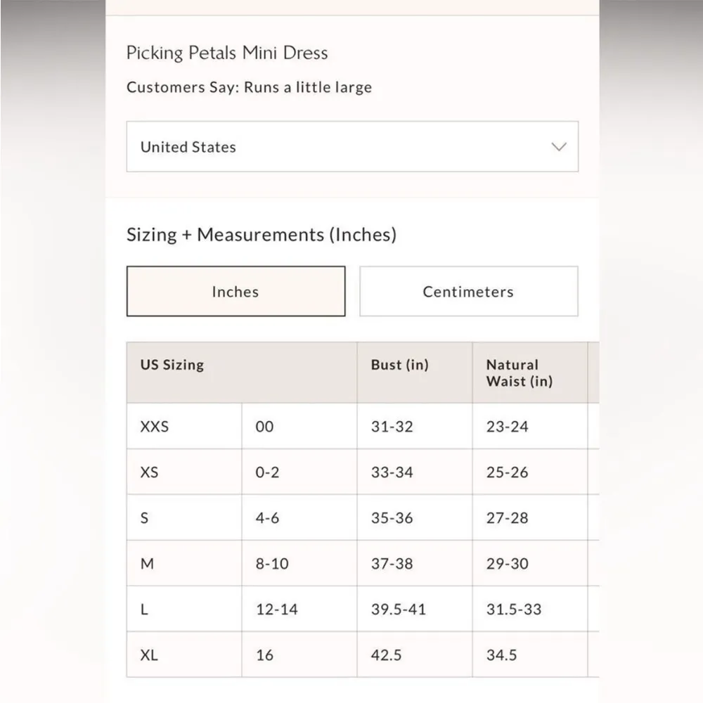 NWOT Free People Picking Petals Embroidered Mini Tunic Dress in Cardamom Seed XS - Image 5