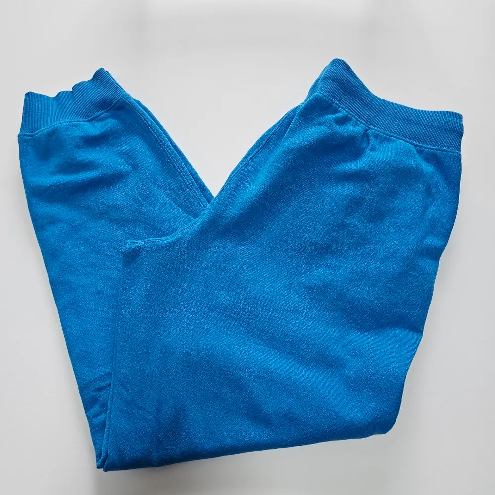 Champion Powerblend Balboa Blue Graphic Fleece Joggers Size Large  (12-14) - Image 2