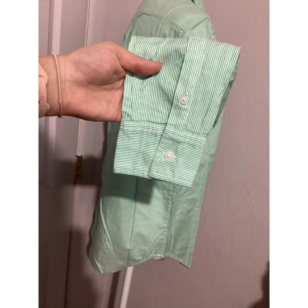 Everlane NWT The Silky Cotton Relaxed Long Sleeve Button Up Shirt Striped Mint 0 - Image 6