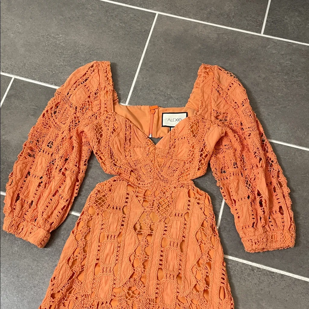 Alexis ravella dress size Small - Image 7