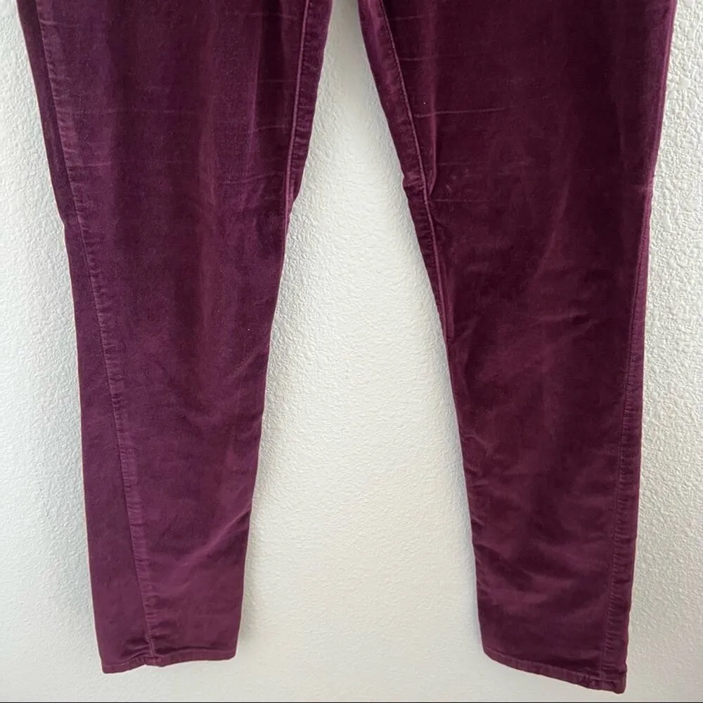 Pilcro and the Letterpress Anthro Serif Velvet Maroon Pants 26 - Image 5