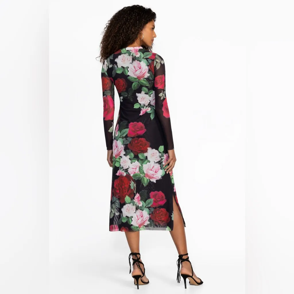 Johnny Was Jade Women's Size XS Lolia Mesh Midi Dress Maria Rosa Rose Print NEW - Image 3