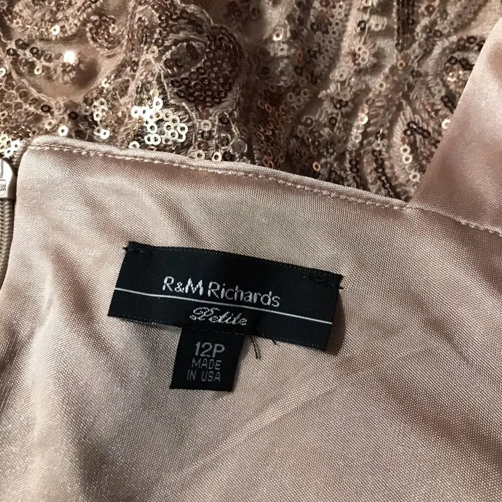R&M RICHARD Beige Sequin Lace Embroidered Cocktail Dress NWT 12 Petite - Image 7