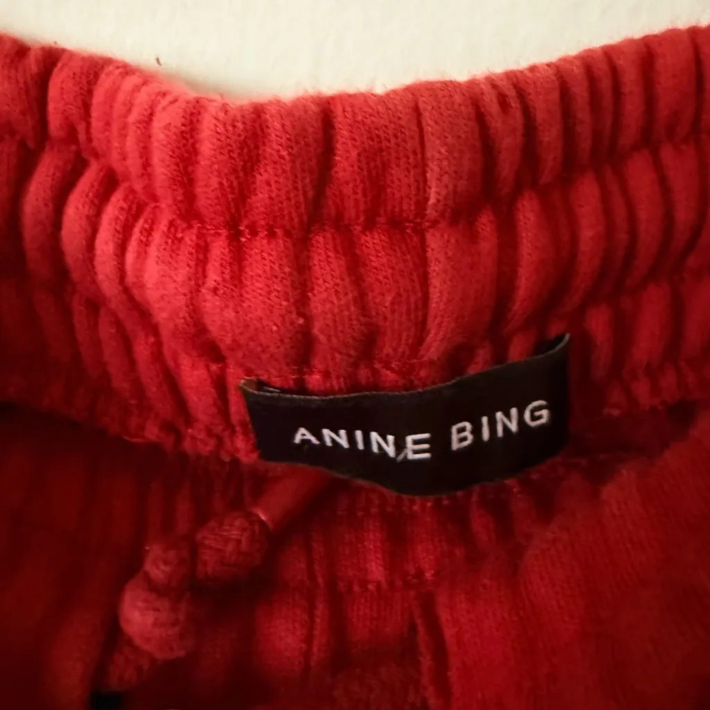 ANINE BING karter jogger sweatpants in washed red size large - Image 5