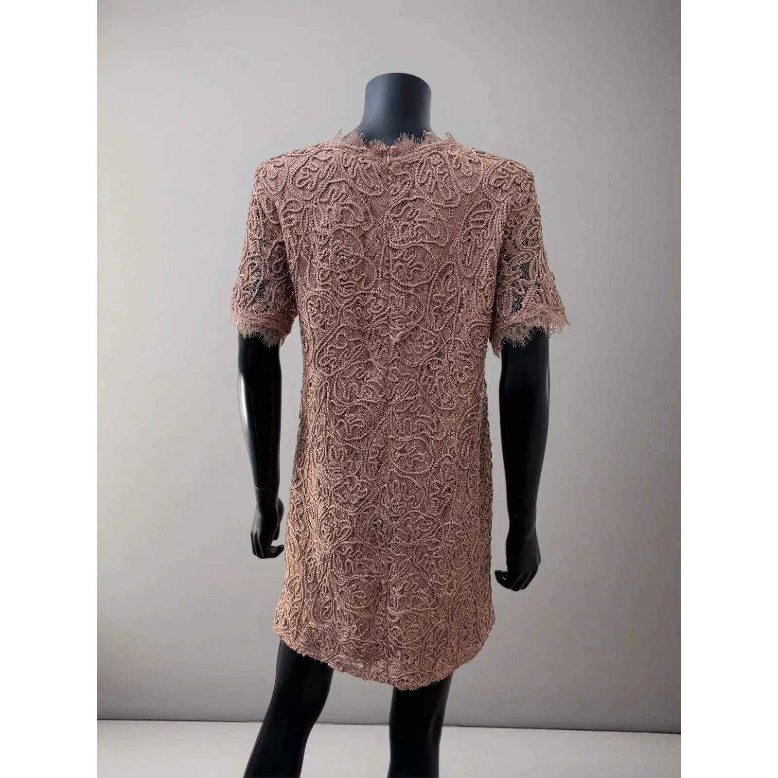 NWT Loveriche Lace Textured Shift Dress Blush Pink Short Sleeve‎ Women's L - Image 2