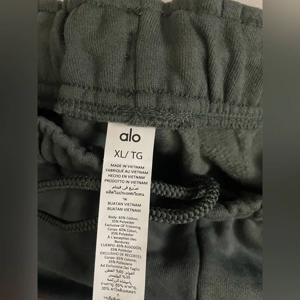 NWT Alo Yoga Accolade Sweatpants Limited Edition Dark Cactus Size XL Unisex - Image 9