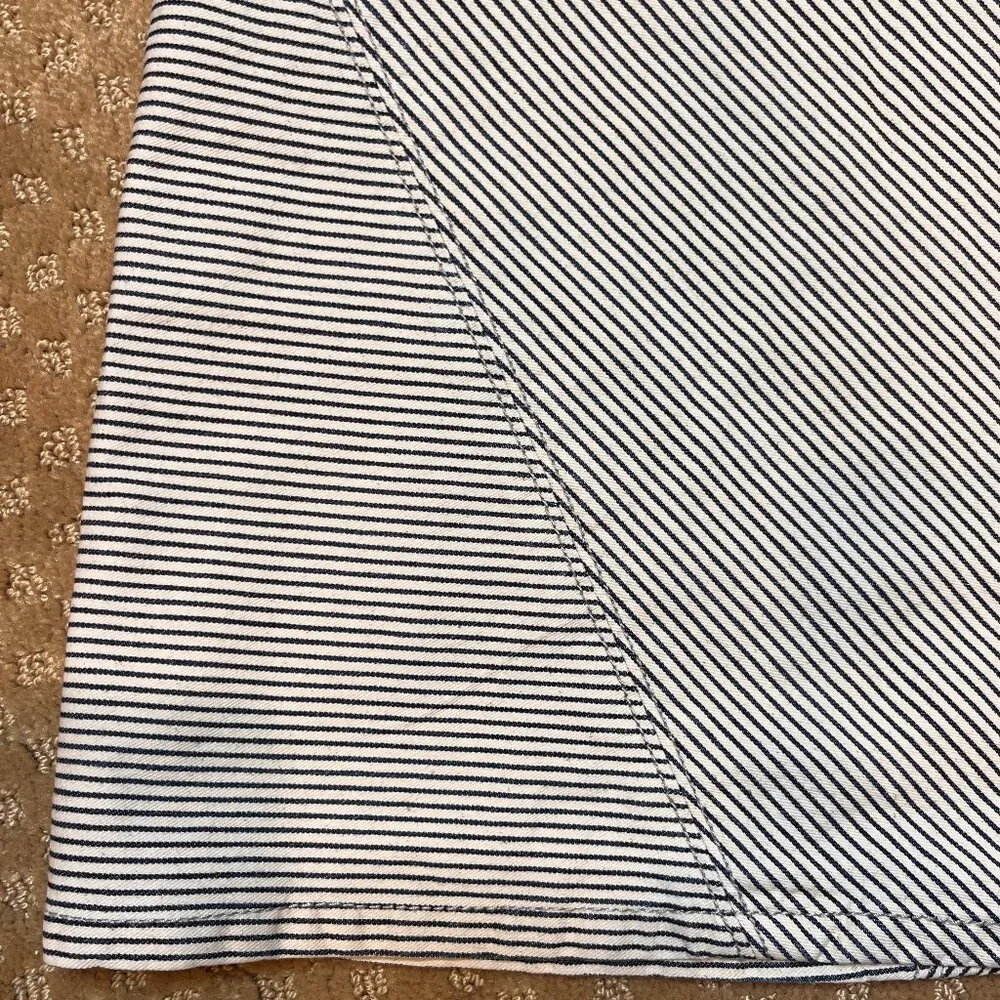 Anthropologie Pilcro and the Letterpress Women's Railroad Denim Striped Skirt 28 - Image 2